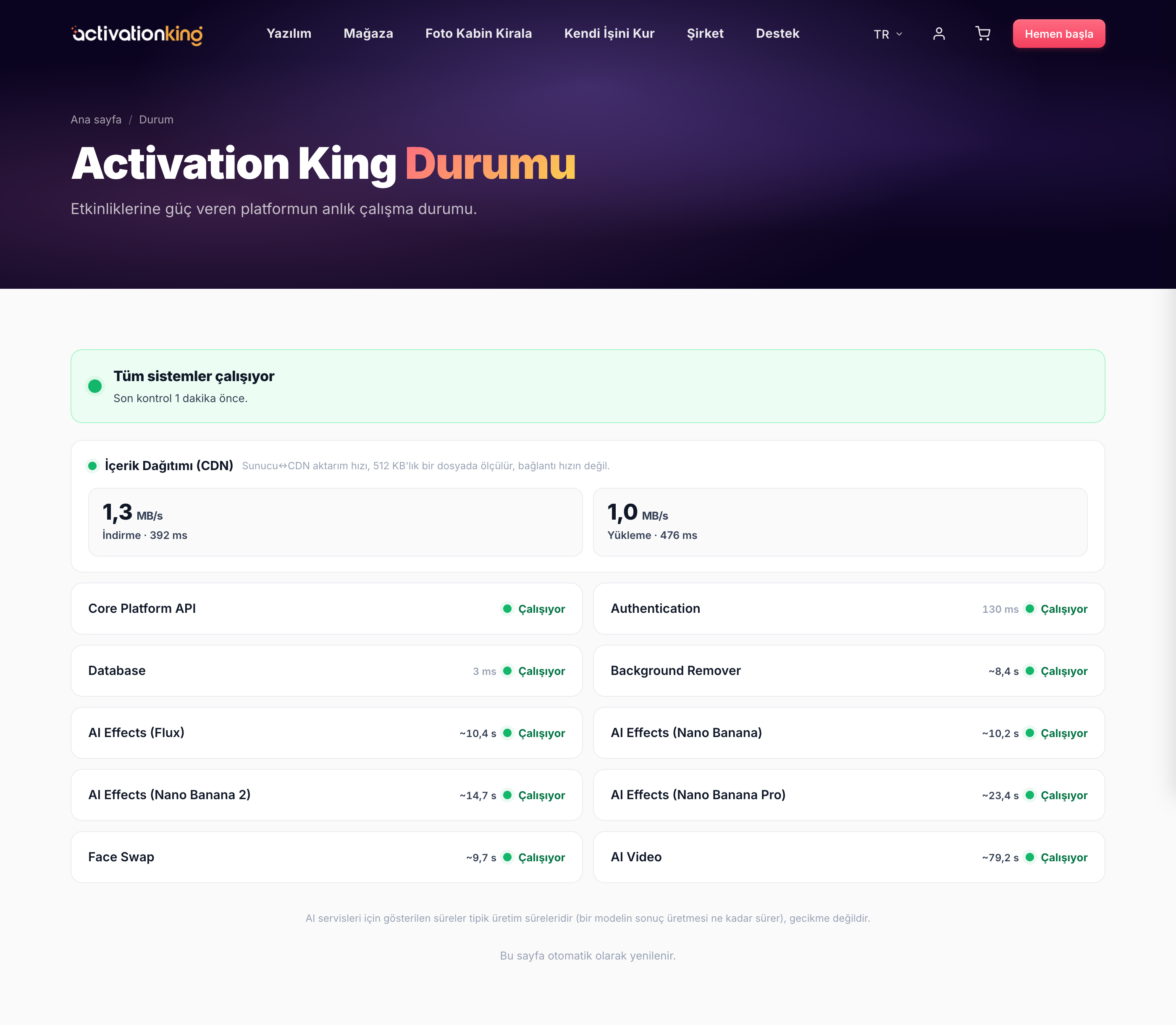 Hizmetlerin çalıştığını gösteren Activation King Sistem Durumu sayfası